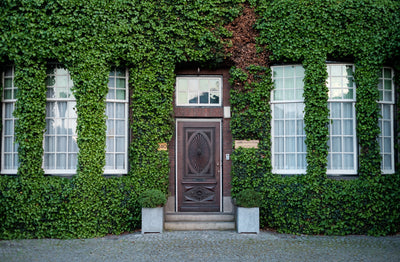 Simple Entryway Beauty