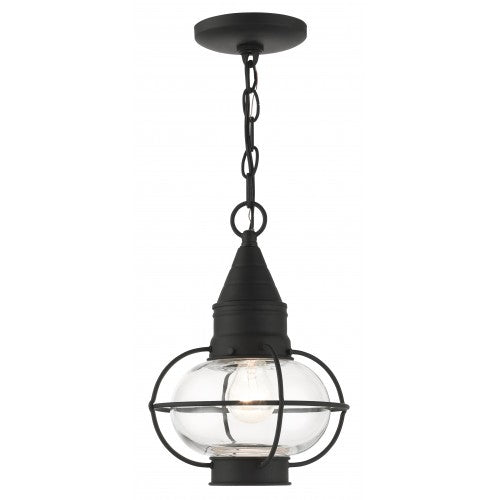 Antique Hardware 1 Light Black Outdoor Pendant Lantern Exterior