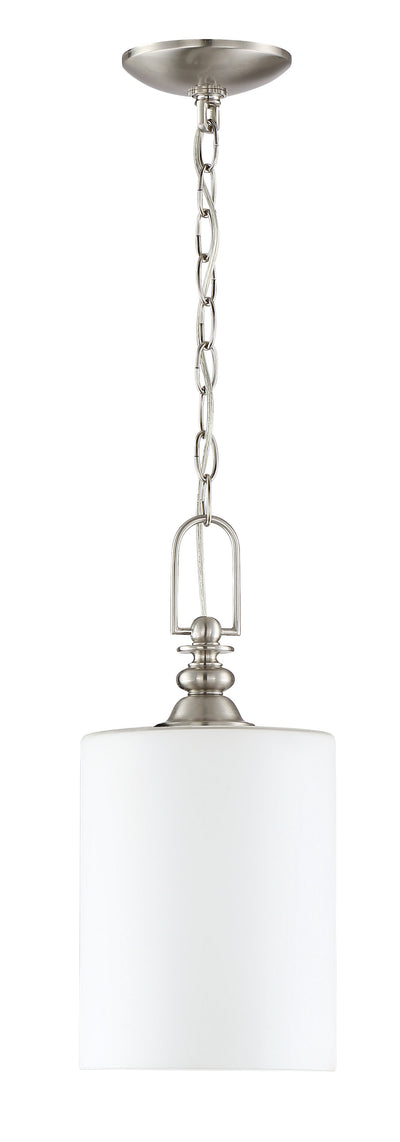 Antique Hardware Dardyn 1 Light Mini Pendant in Brushed Polished Nickel Pendant