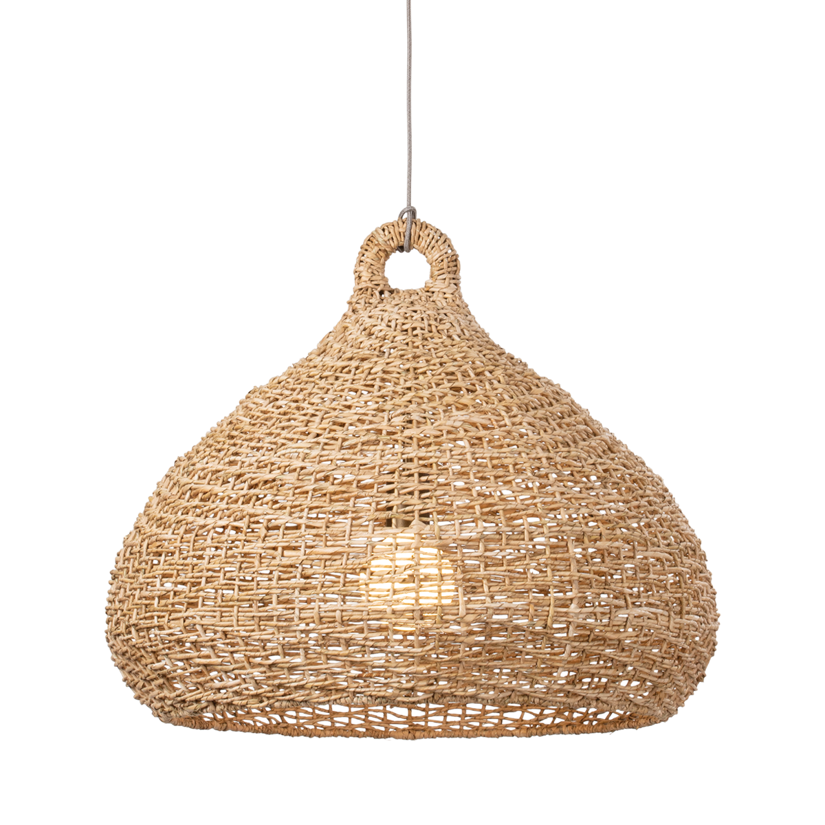 Troy Lighting Lechlan Pendant