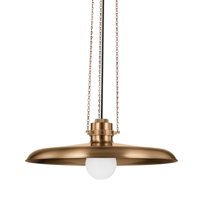 Troy Lighting Rainhill Pendant