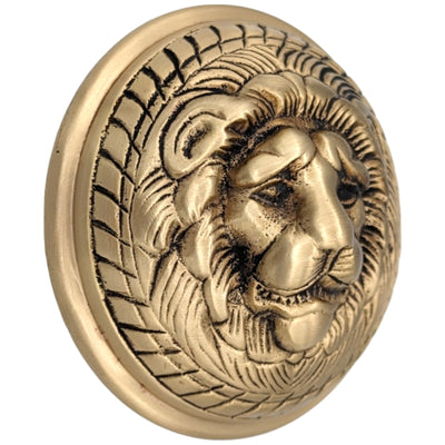 ##Antique Hardware## Romanesque Rosette Door Set with Lion Door Knobs (Several Finishes Available)